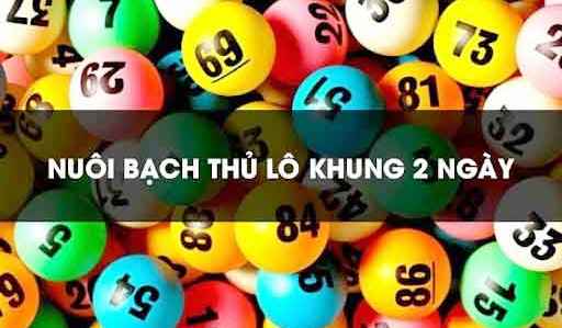 Bạch Thủ Lô Kép Khung 2 Ngày