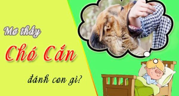 mơ chó cắn