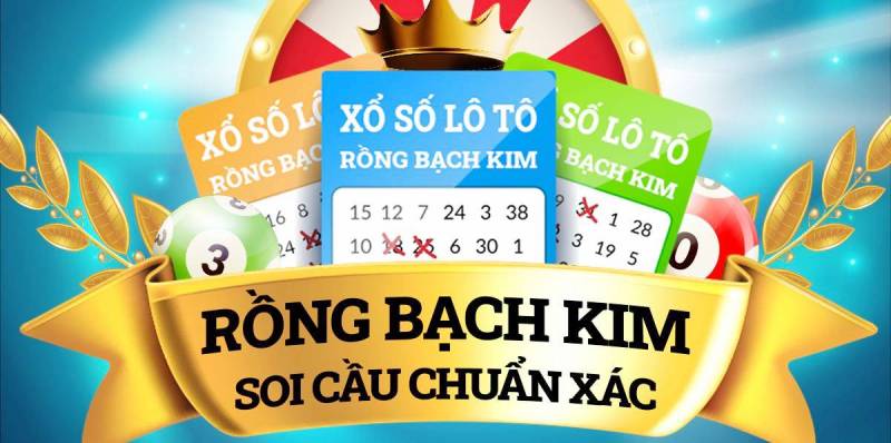 soi cau rong bạch kim